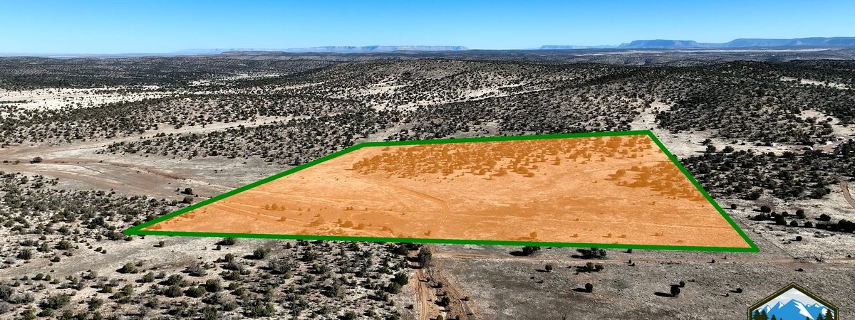 Unleash Your Imagination: Endless Possibilities on this 40-Acre Desert Land